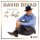 Скачать песню David Divad - Мало