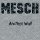 Скачать песню Mesch - Another Wall