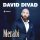 Скачать песню David Divad - Merabi