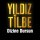 Скачать песню Yıldız Tilbe - Dizine Dursun