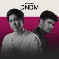 Скачать песню DNDM - Für Elise