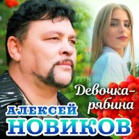 Скачать песню Алексей Новиков - Девочка рябина