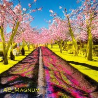 Скачать песню AS_Magnum - Весна цветёт