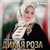 Скачать песню Алина Мусиева - Дикая роза