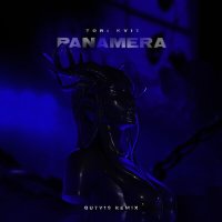 Скачать песню TORI KVIT, Quty1s - Девочка "Panamera" (Quty1s Remix)