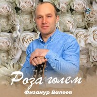 Скачать песню Физанур Валеев - Роза гөлем