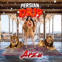 Скачать песню Arzu - Persian Drip