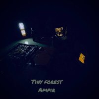 Скачать песню Ampir - Tiny Forest
