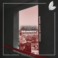 Скачать песню SEINROY, Barış Çakır - Tablo (Barış Çakır Remix)