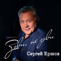 Скачать песню Сергей Ершов - Зови не зови