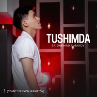Скачать песню Saidahmad Umarov - Tushimda (cover Yusufxon Nurmatov)