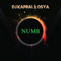 Скачать песню Dj Kapral, Osya - Numb