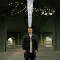 Скачать песню Aidhn - Dreams