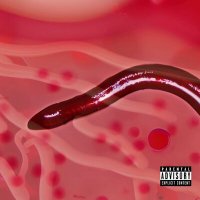 Скачать песню Кровавый тостер - A Worm Got Into The Circulatory System