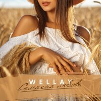 Скачать песню Wellay - Сельская любовь