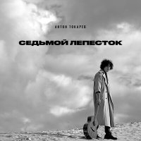 Скачать песню Антон Токарев - Седьмой лепесток (Revizz Remix)