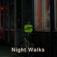 Скачать песню BLESKSOUND - Night Walks