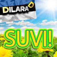 Скачать песню Dilara D - Suvi!