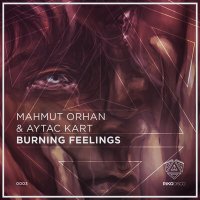Скачать песню Mahmut Orhan, Aytac Kart - Burning Feelings