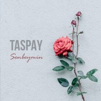 Скачать песню Taspay - Senbeymin