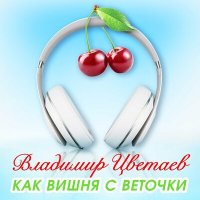 Скачать песню Владимир Цветаев - Как вишня с веточки
