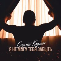 Скачать песню Сергей Клушин - Я не могу тебя забыть (DJ Ikonnikov Remix)