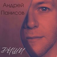Скачать песню Андрей Панисов - Дыши