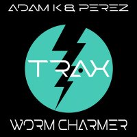 Скачать песню Adam K, Perez - Worm Charmer