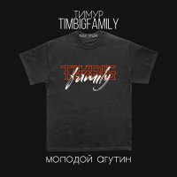Скачать песню Тимур Timbigfamily - Молодой Агутин