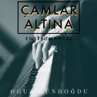 Скачать песню Oğuz Gündoğdu - Çamlar Altına (Enstrumantal)