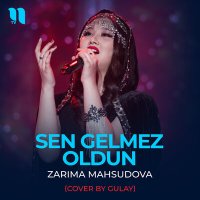 Скачать песню Zarima Mahsudova - Sen gelmez oldun (Cover by Gulay)