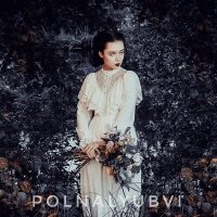 Скачать песню POLNALYUBVI - Кометы (Илья Карюкин Cover)