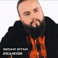 Скачать песню Serdar Gitar - Ayrılık Mevsimi