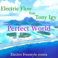 Скачать песню Electric Flow, Tony Igy - Perfect World (Electro Freestyle Remix)