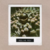 Скачать песню Architects - Seeing Red