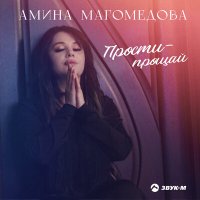 Скачать песню Амина Магомедова - Прости - прощай (Dj Ikonnikov Remix)