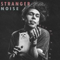Скачать песню STRANGER NOISE - Buy Me a Cat