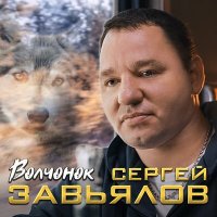 Скачать песню Сергей Завьялов - Волчонок