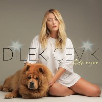 Скачать песню Dilek Çevik - Olmuyor (Akustik)