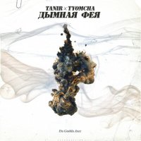 Скачать песню Tanir & Tyomcha - Дымная фея