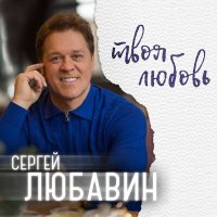 Скачать песню Сергей Любавин - Твоя любовь