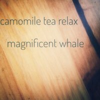 Скачать песню Camomile Tea Relax - Magnificent Whale