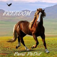 Скачать песню Pavel PloDof - Freedom / Свобода