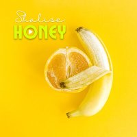 Скачать песню Shalise - Honey