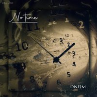 Скачать песню DNDM - No Time