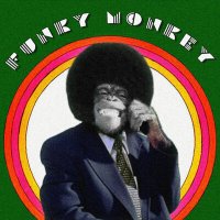 Скачать песню выжига - Funky Monkey