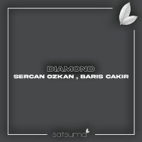 Скачать песню Sercan Ozkan, Barış Çakır - Diamond