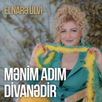 Скачать песню Elnarə Ülvi - Mənim Adım Divanədir