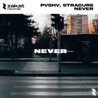 Скачать песню PVSHV, STRACURE - Never