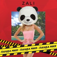 Скачать песню MC Zali - Панда Мия (Evgeny Kotlinsky Remix)